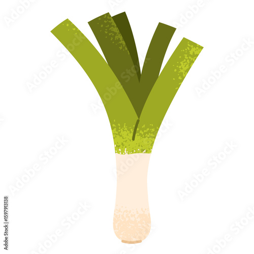 Fresh green leek stalk with long leaves. Spring onion. Healthy vegetable. Fresh organic food for soups or other meals. Vector illustration in cartoon style. Isolated on white background