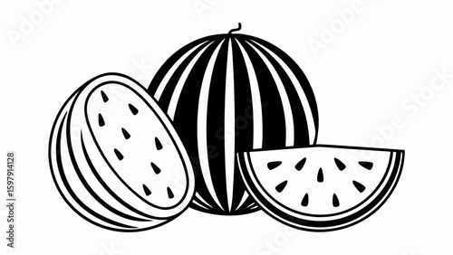 vector illustration of a watermelon