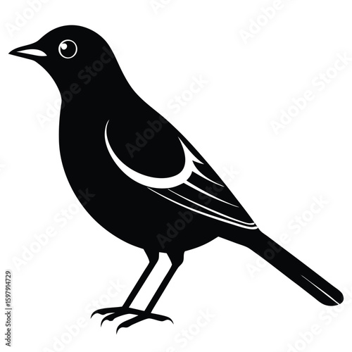 Melodic Black Line Art Mynah Vector