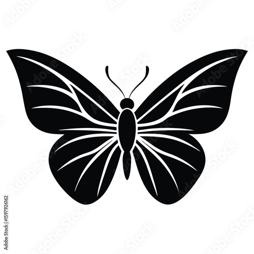 Winged Black Line Art Butterfly Vector