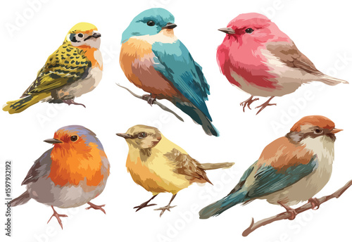 set of different birds