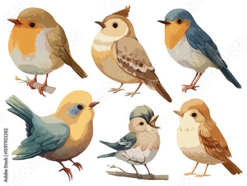 set of different birds