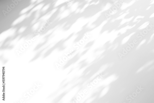 shadow overlay effects of realistic tree leaves shadow on wall,Summer sunlight and dappled shadow overlay effect