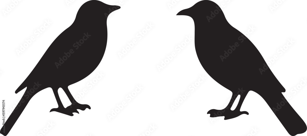 Obraz premium birds on a white background