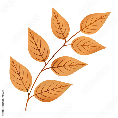 Autumn leaves ash tree branch