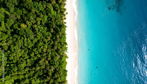 Wallpaper Mural Stunning Aerial View of Pristine Tropical Beach and Lush Green Forest Meeting Turquoise Ocean Waters – A Remote Island Paradise Landscape Torontodigital.ca