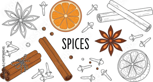 Assortment of aromatic spices including cinnamon and star anise design