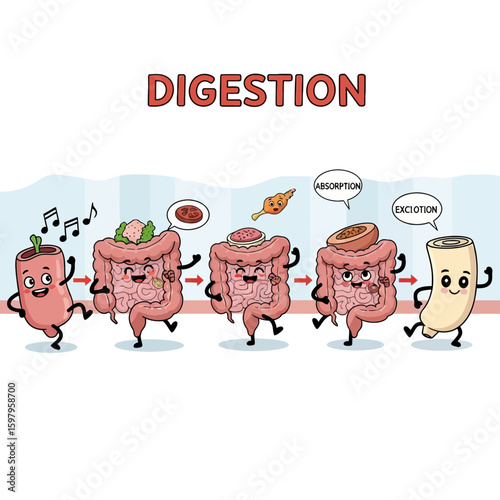 Digestive Journey: A vibrant, cartoon illustration of the human digestive process, showcasing the stages of food breakdown and nutrient absorption.