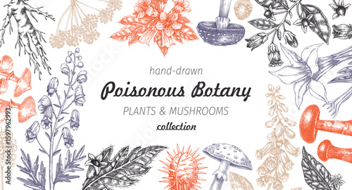 Poisonous plants frame design. Toxic mushrooms hand drawn vector illustration. Witch herbs, deadly fungi sketches. Vintage botanical banner. NOT AI generated