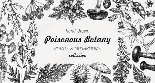 Poisonous plants frame design. Toxic mushrooms hand drawn vector illustration. Witch herbs, deadly fungi sketches. Vintage botanical banner. NOT AI generated