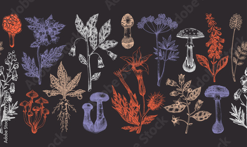Poisonous plants seamless ribbon. Toxic mushrooms hand drawn vector illustration. Witch herbs vintage pattern. Deadly fungi background. NOT AI generated
