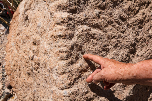 Hand of man shows carvings on rock or petroglyphs in the cave of San Borjita made by the prehistoric Cochimí people dating back 7,500 years, in the Mexican state of Baja California Sur