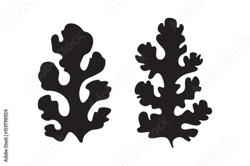 Ginger Root Silhouette Design: Healthy Spice and Food Ingredient