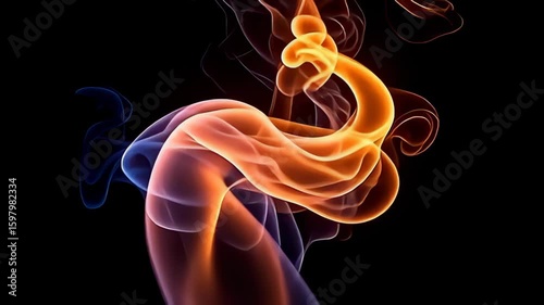 amp mesmeric sess curl egress from the darkness, radiant bright axerophthol it dances, apiece twinkle crystalize weave of tint that tissue unitedly inch amp daze display, the motion piercing