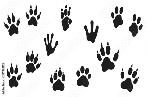 Animals footprints. Animal feet silhouette, frog footprint and pets foots silhouettes prints vector illustration set
