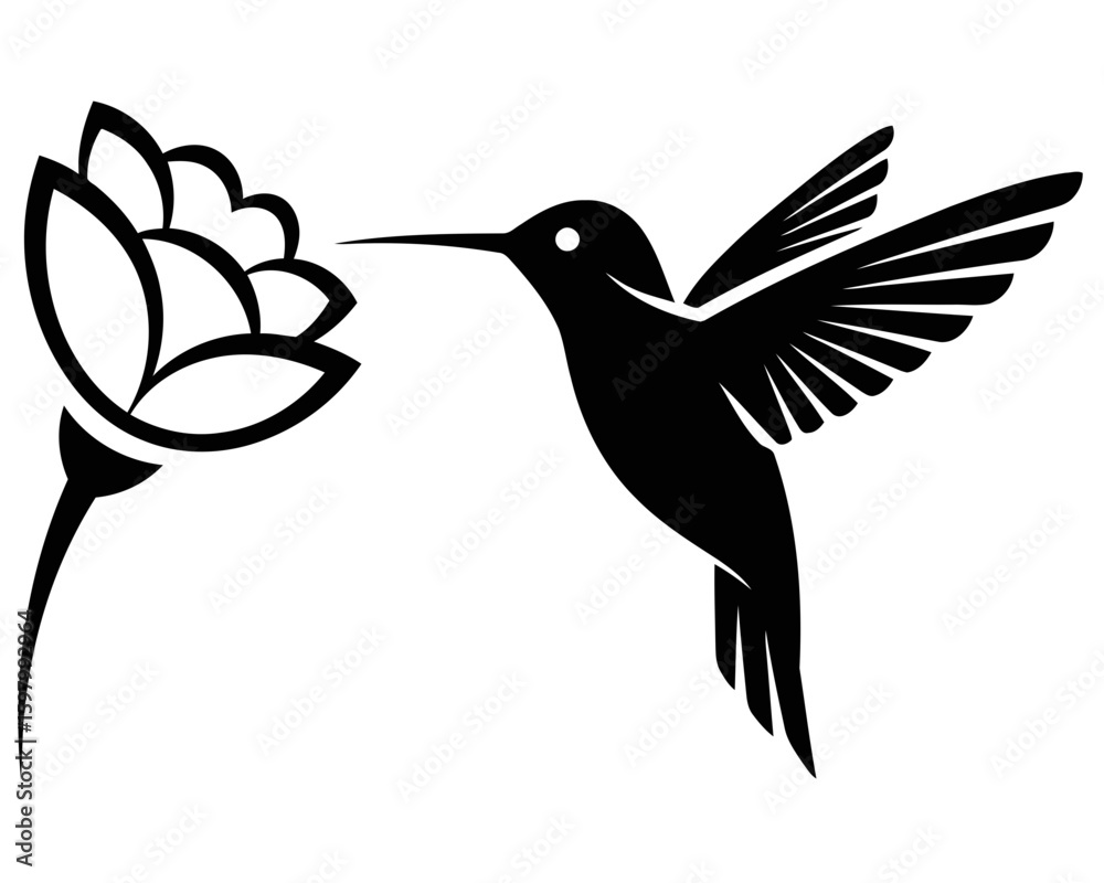 Obraz premium Elegant hummingbird silhouette approaching a blooming flower for nectar, isolated.