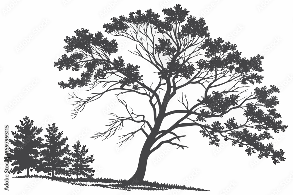 Obraz premium Top View Trees and Bushes – Landscape Architecture Elements Set