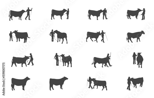 Show Steer Svg, Show Steer Silhouette, Livestock Svg, Livestock Silhouette, Steer Silhouette, Steer Svg, Show Steer Bundle, Show Cattle Svg.