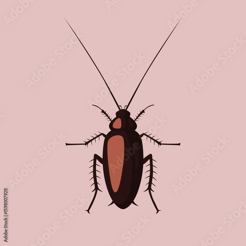 vector cockroach illustration realistic hand drawn
