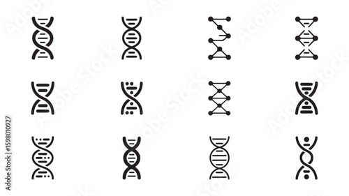 Different DNA Molecule Representations Illustrating Genetic Code Variations and Diversity