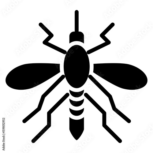 Mosquito