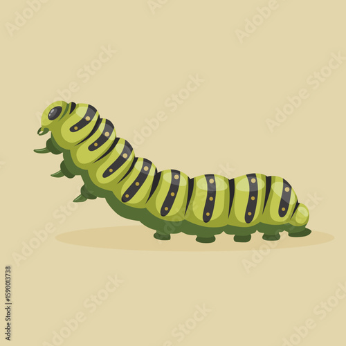 vector caterpillar illustration realistic hand drawn