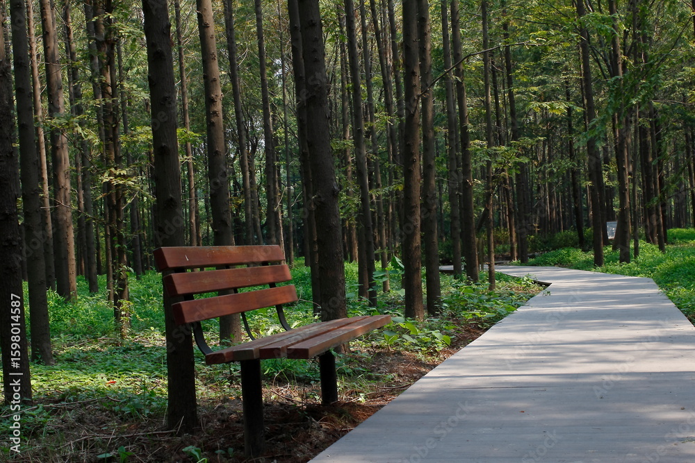 bench in the park bench in the park