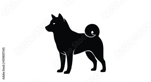 Elegant black silhouette standing shiba inu dog with curled tail and alert expression portrait