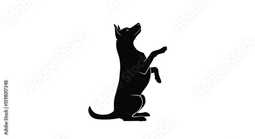 Silhouette of a dog sitting upright with paws reaching towards an unseen object above