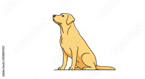 A loyal golden labrador dog sitting patiently waiting for a command a faithful companion animal