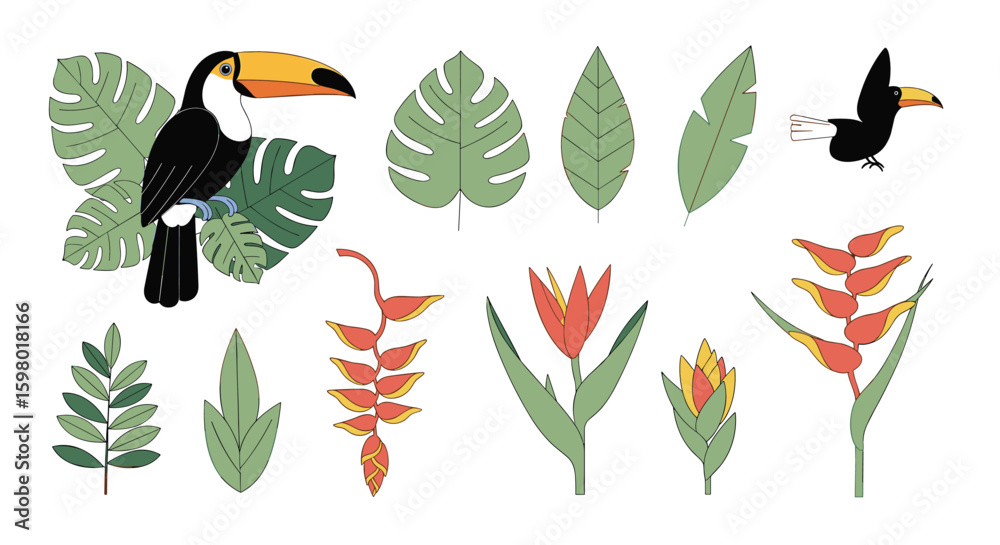 Fototapeta premium Tropical toucan bird exotic plants rainforest flora nature elements design collection