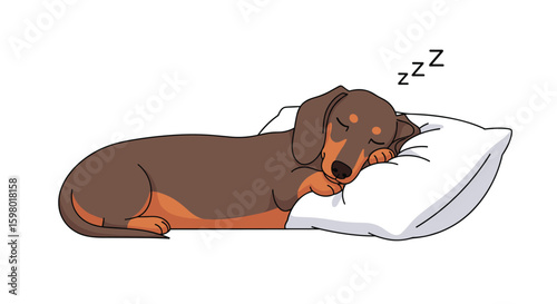 Cute dachshund dog sleeping peacefully on a soft pillow with zzzs above its head
