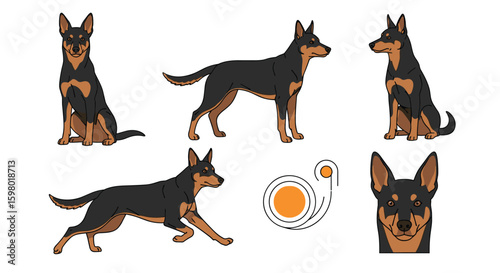 Adorable pixel art representations of a versatile working australian kelpie dog breed in various poses