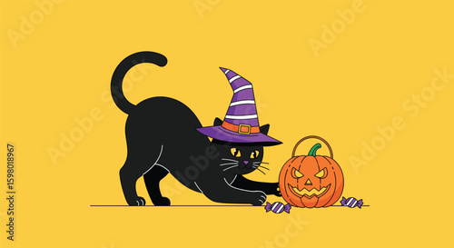 Adorable black cat wearing a purple witch hat reaching for halloween candy beside a jack o lantern