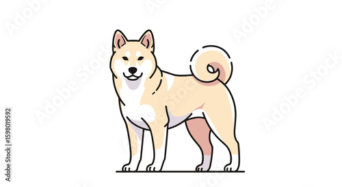 Charming shiba inu dog standing proudly with a happy expression and curled tail