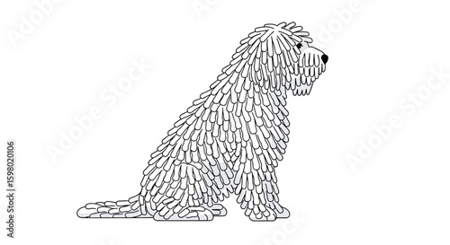 A charming white puli dog with distinctive corded fur sits patiently looking to the side