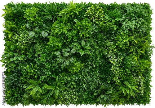 3D Isolated Green Wall Vertical Garden Background