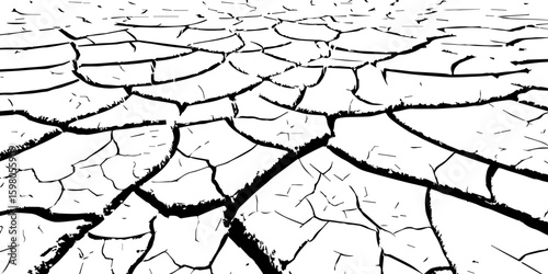 "A stark, black and white, high-contrast image showing a wide expanse of deeply cracked earth, stretching towards a distant horizon, emphasizing the textures and patterns of drought and desiccation."
