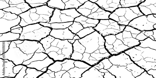 A stark, high-contrast, black and white close-up of severely cracked earth, showing a network of deep fissures and irregular polygons. The texture emphasizes the dryness and desolation of the ground.