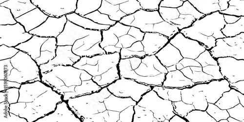 A stark, high-contrast, black and white close-up of severely cracked earth, showing a network of deep fissures and irregular polygons. The texture emphasizes the dryness and desolation of the ground.