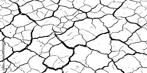 A stark, high-contrast, black and white close-up of severely cracked earth, showing a network of deep fissures and irregular polygons. The texture emphasizes the dryness and desolation of the ground.