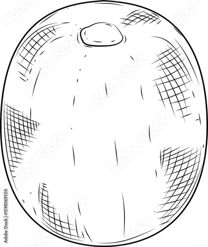 Kiwi Texture Detail Hand Drawn Ink Sketch Vector