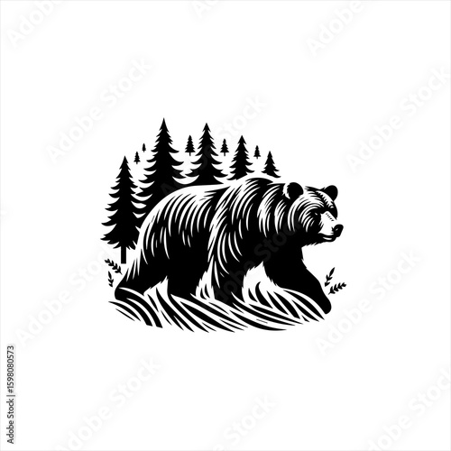 Black bear walking through grass with pine trees in the background
