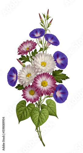 Illustration of Pink White and Purple Aster with Blue Morning Glory on Black Background