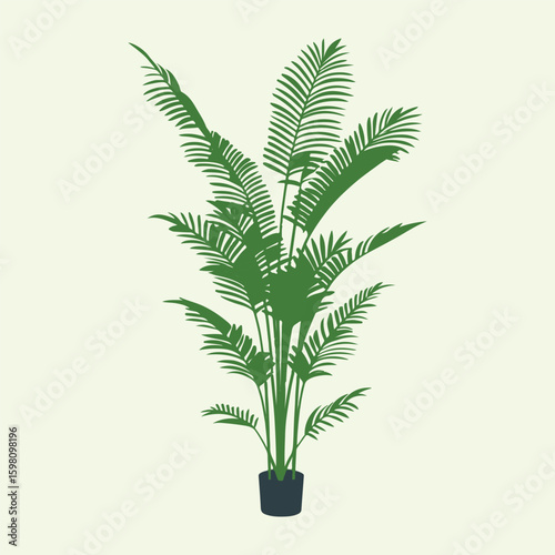 Tall indoor palm plant illustration.
