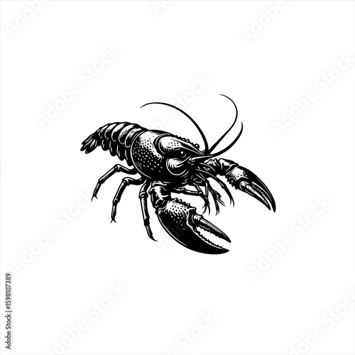 Detailed black and white illustration of a crawfish