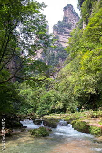 The Gold whip Stream in Zhangjiajie national forest park with its beautiful nature