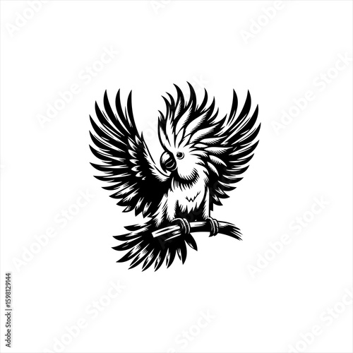Black and white illustration of a cockatoo with wings spread wide perched on a branch