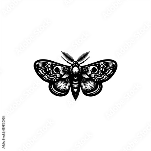 Intricate black and white moth illustration