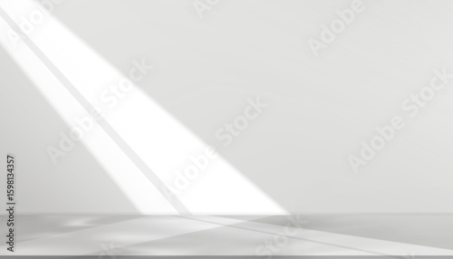 Grey background,Studio interior room with shadow and window light on gray  wall  and podium floor display,Backdrop Vector Template wall banner for Winter Product Sale,Promotion